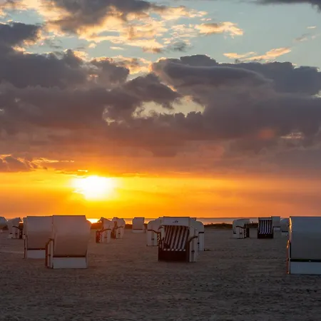 216 Grosse Schwalbennest * Wittmund