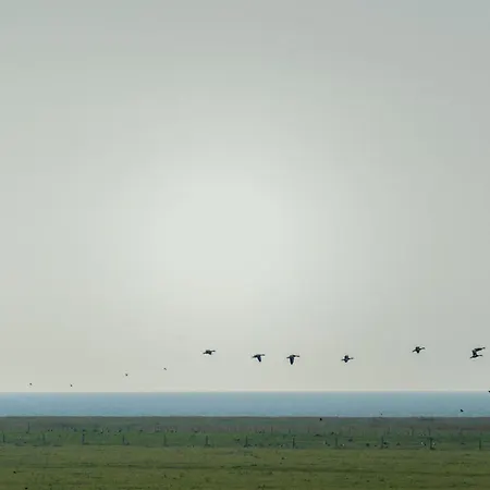 Lägenhet 216 Grosse Schwalbennest