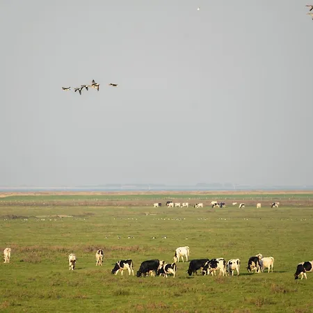 Lägenhet 216 Grosse Schwalbennest Wittmund