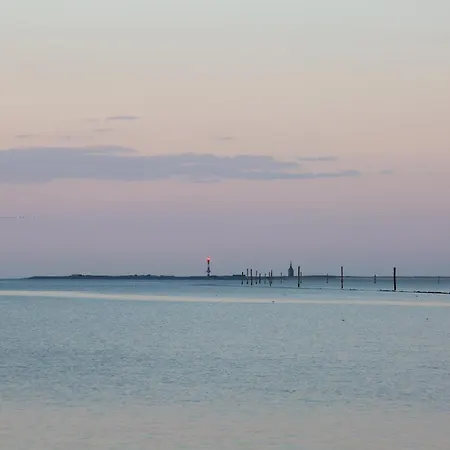 216 Grosse Schwalbennest