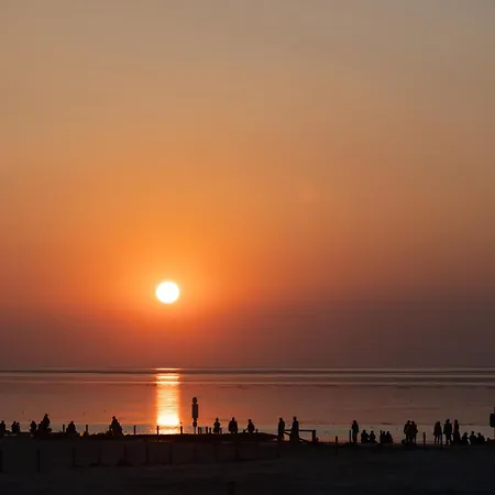 216 Grosse Schwalbennest *