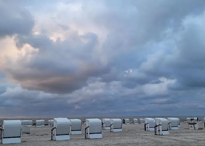 216 Grosse Schwalbennest * 维特蒙德