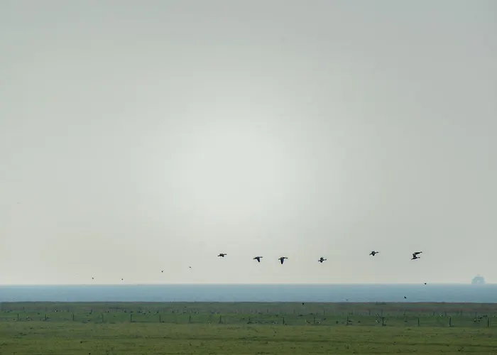 公寓 216 Grosse Schwalbennest