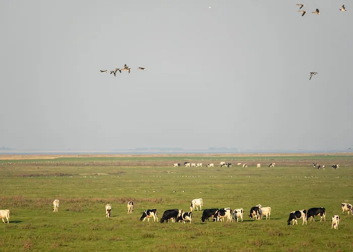 公寓 216 Grosse Schwalbennest 维特蒙德