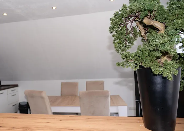 216 Grosse Schwalbennest