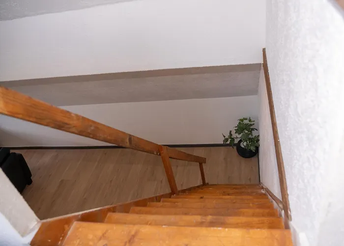 216 Grosse Schwalbennest *