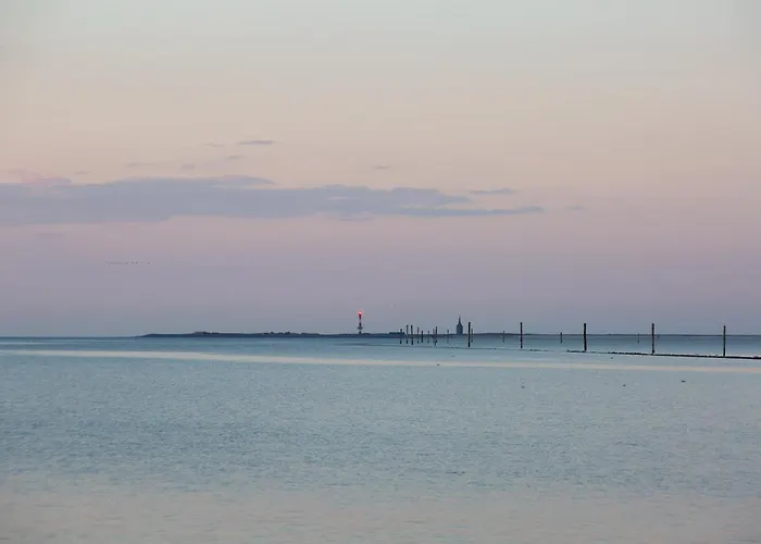 216 Grosse Schwalbennest